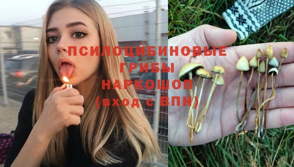 дживик Михайлов