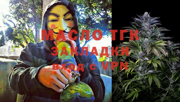 сатива Михайловка