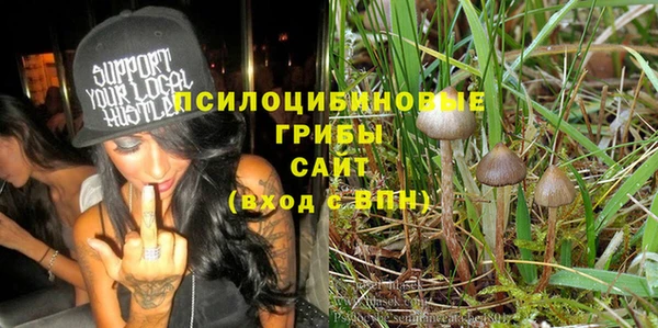 сатива Михайловка