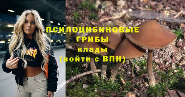 дживик Михайлов