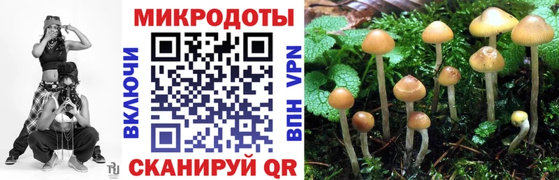 Купить закладки  Нефтекумск  Псилоцибиновые грибы MAGIC MUSHROOMS 